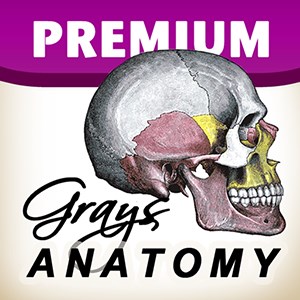 Grey's Anatomy Premium