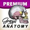 Grey's Anatomy Premium
