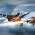 War Thunder - Dassault Milan Bundle