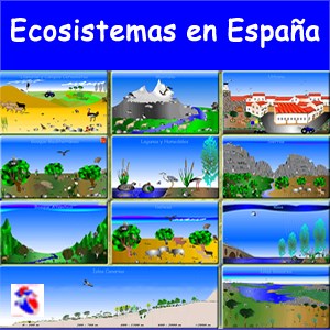 Ecosistemas en España