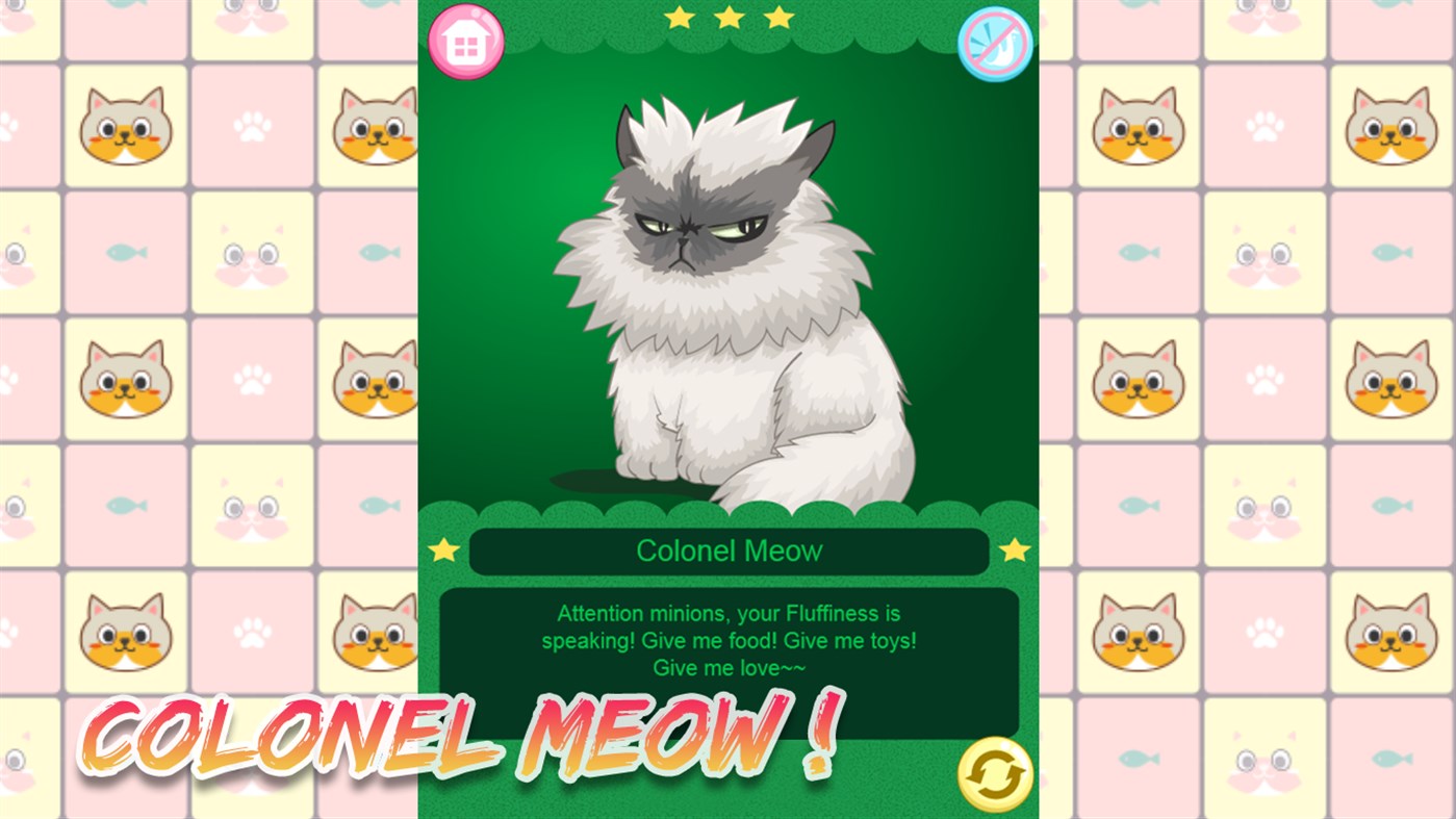 #3. Famous cat (Windows) By: ShowBoom Technology Co. Ltd