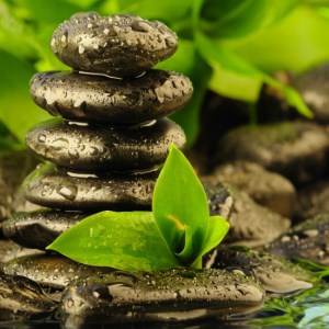 Zen Mindfulness