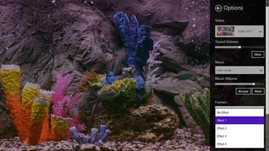 Real coral aquarium HD screenshot 4