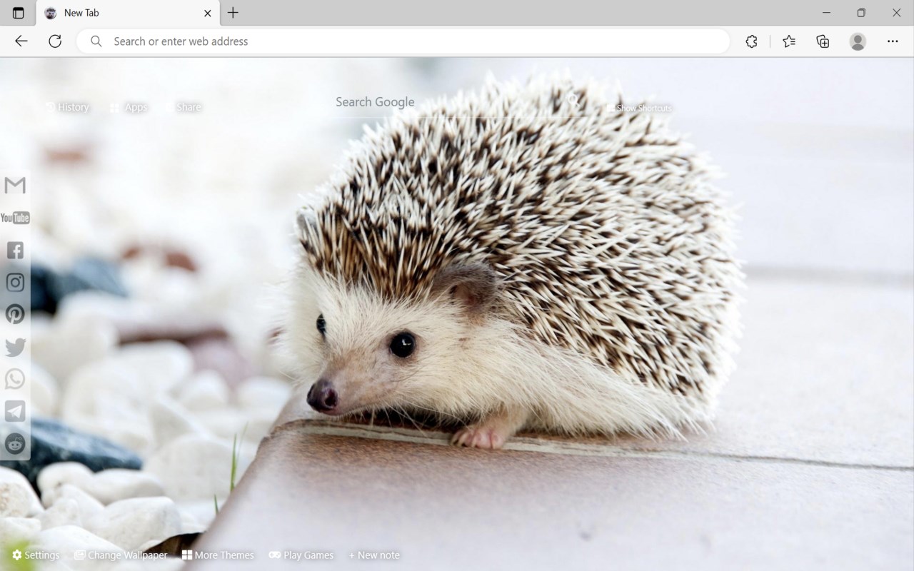 Hedgehog Wallpaper