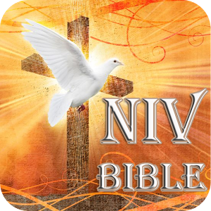 New International Version-Bible