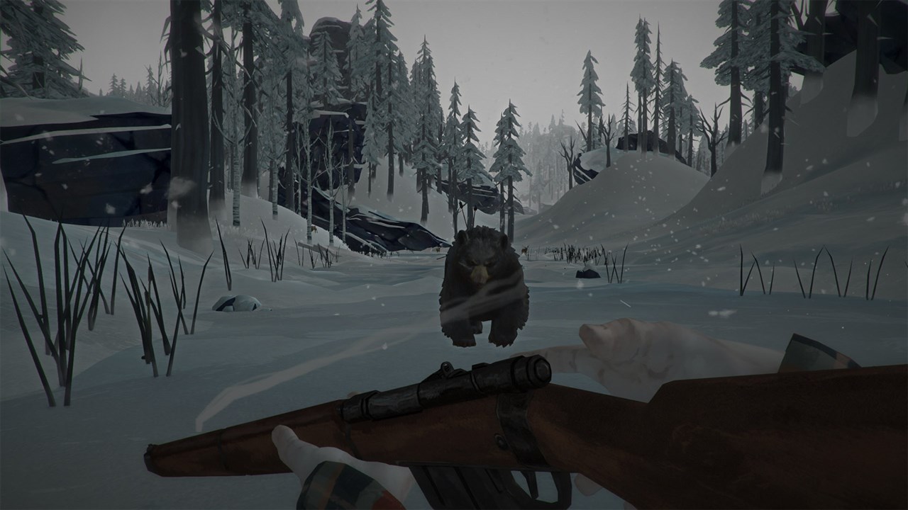 The Long Dark screenshot 5