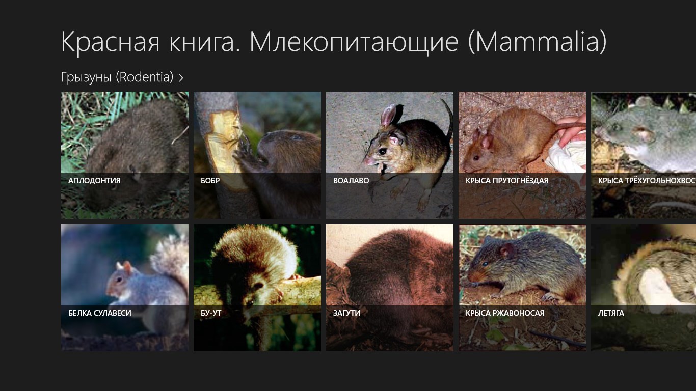 красная книга татарстана фото