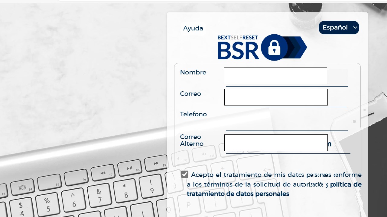 Snapshot 2 of BSR BEXT-SelfReset