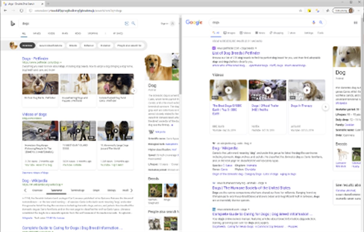 Double Shot Search: Query side-by-side