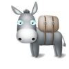 Donkey for Oracle