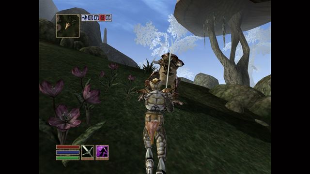 The Elder Scrolls III: Morrowind screenshot 13