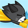 Super Cat Fly
