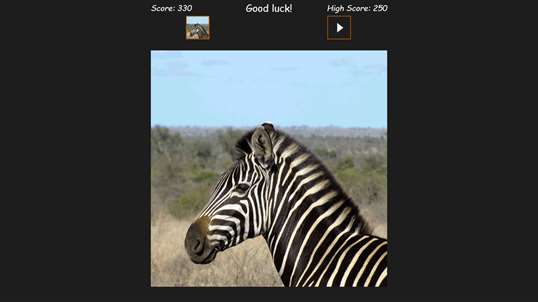 Safari Photo Puzzle screenshot 4