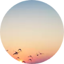 Sunset Beach Wallpaper New Tab icon