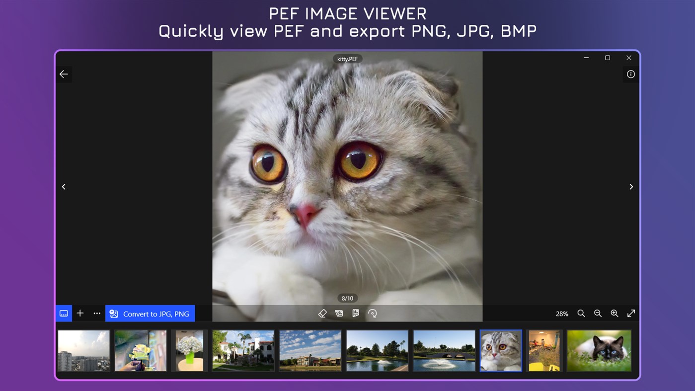 #1. PEF Viewer+ - PEF to JPG (Windows) โดย: IO Vision
