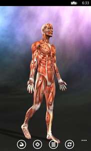 Muscle Trigger Points Anatomy screenshot 4