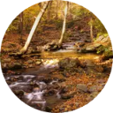 Delaware Wallpaper New Tab icon