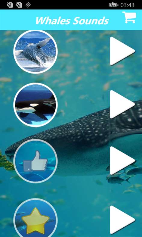 Relaxing Whale Sounds:Sounds of Whales With Music Screenshots 2