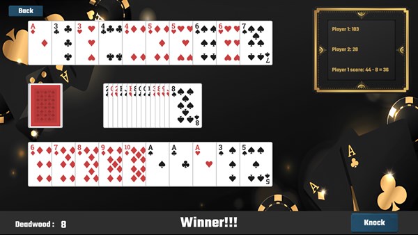 Gin Rummy: Card Game Master — 8