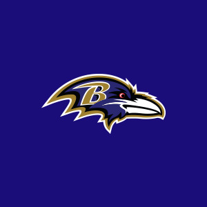 baltimore ravens official store