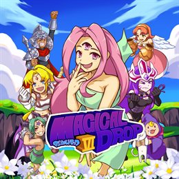 Aperçu Magical Drop VI