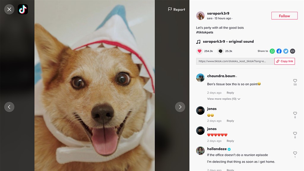 TikTok_5