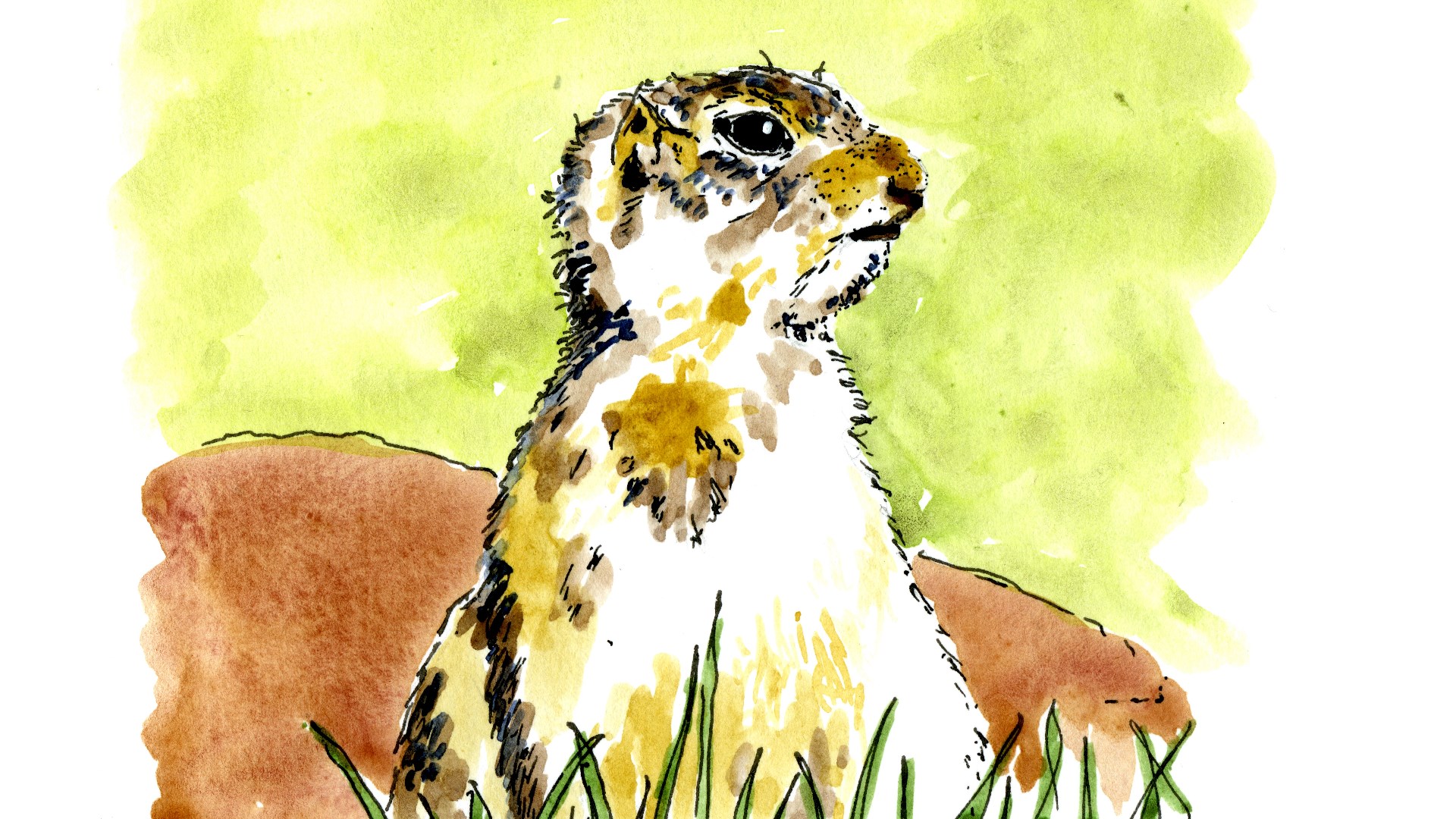 Little gopher clients