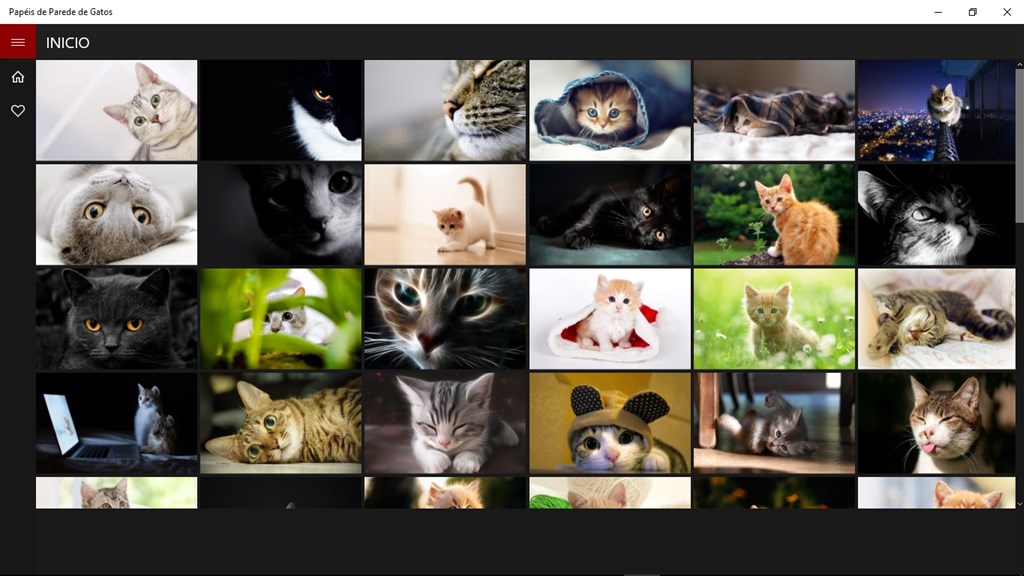 Papéis de Parede de Gatos - Microsoft Apps