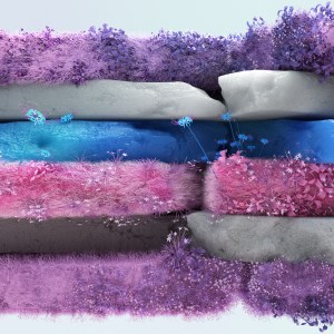 Pride – Bigender