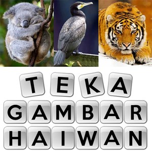 Teka Gambar Haiwan