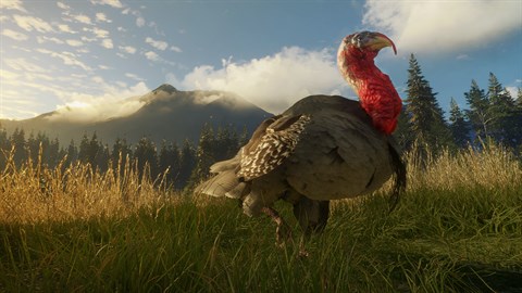 Silver Ridge Peaks, TheHunter: Call of the Wild Wiki