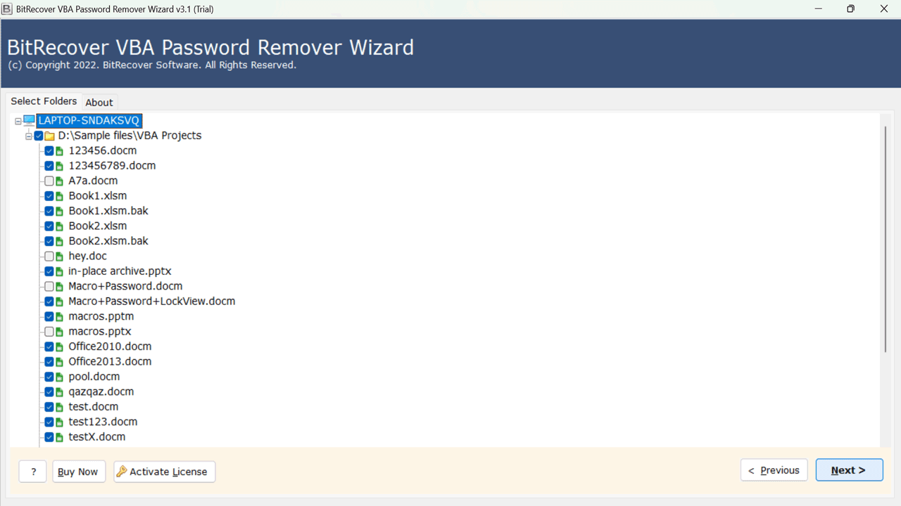 Snapshot 4 of BitRecover VBA Password Remover