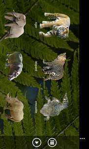 Sounds of tropical animals screenshot 2