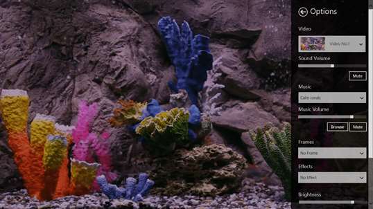 Real coral aquarium HD screenshot 1
