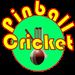 Cricket Twenty20 : Pinball Challenge