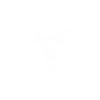 Covfefe Spinner