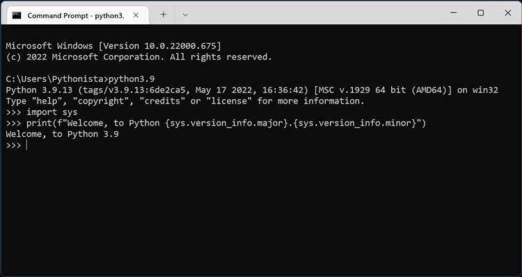 Python 3.9 - PC - (Windows)