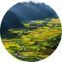 Vietnam Wallpaper New Tab icon