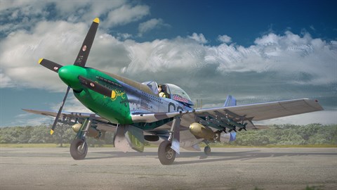 War Thunder - Ray Wetmore`s P-51D-10 Pack