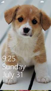 Cute Dog Wallpapers screenshot 4