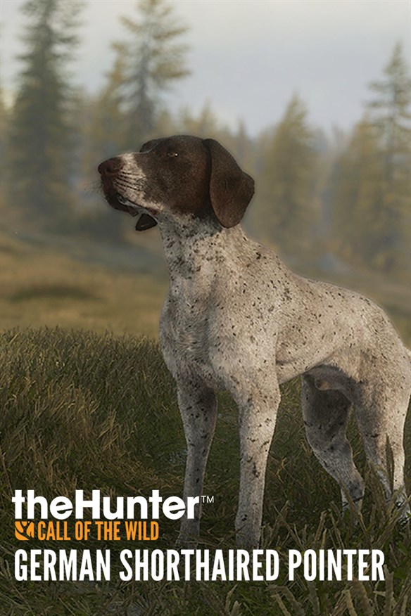 theHunter: Call of the Wild - German Shorthaired Pointer Xbox Series X|S and Xbox One cover art
