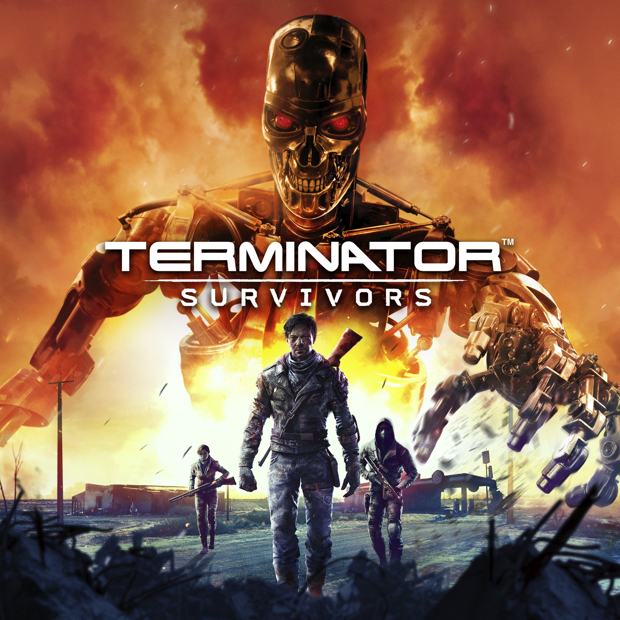 Terminator: Survivors