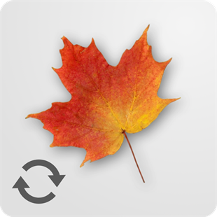 Tree Crossing Sync - Free download and install on Windows | Microsoft Store