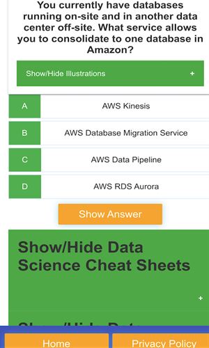 AWS Data analytics DAS-C01 Exam Prep PRO Screenshot