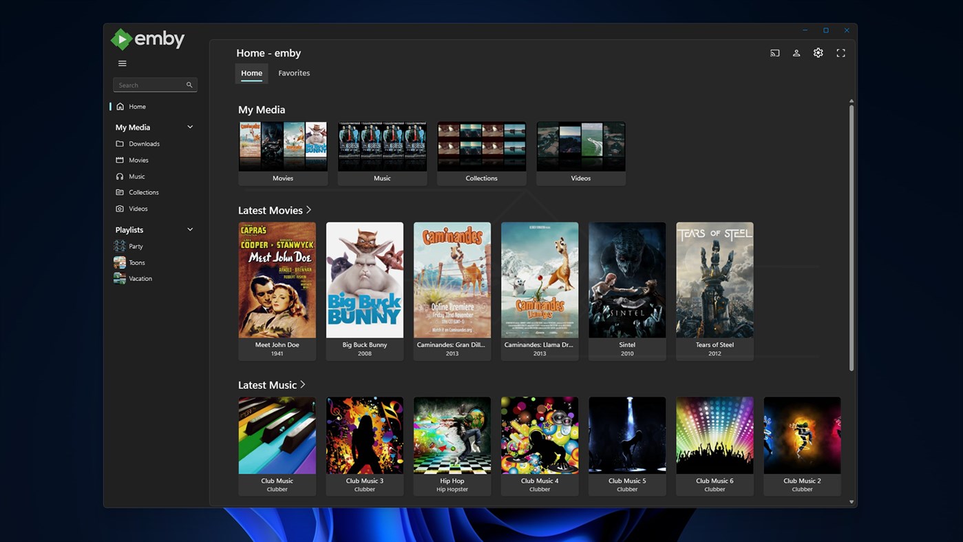 #1. Emby (Windows) Door: Emby LLC