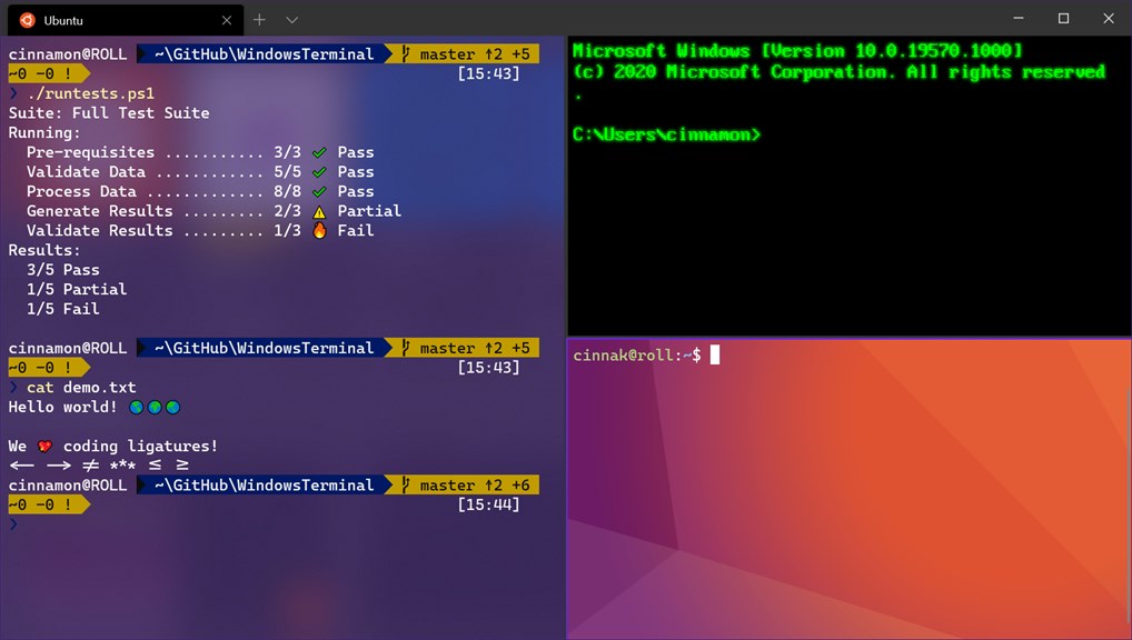 Windows Terminal_2