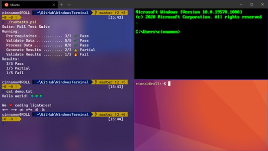Windows Terminal screenshot 2