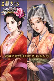 遊戲迷親投復刻武將CG組合③