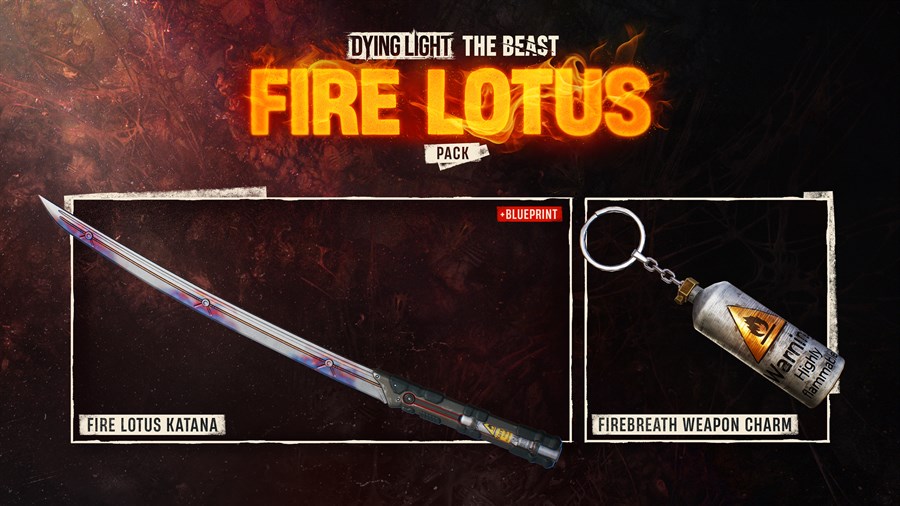 Full Size Image