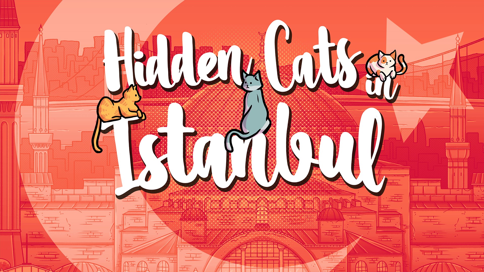 Hidden Cats in Istanbul